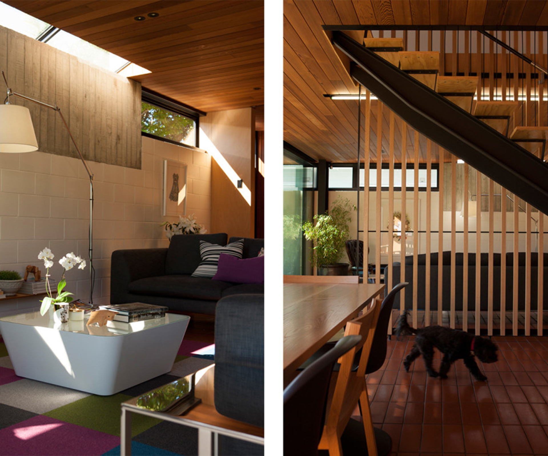 In the living room (left), an east-facing skylight spills light down the concrete and concrete-block wall. The 'Tolomeo Mega' floor lamp by Michele de Lucchi and Giancarlo Fassina for Artemide is from ECC. The ply and black steel staircase (right), framed by cedar battens, separates the kitchen and dining areas from the living space. 