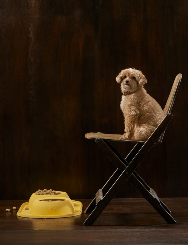 Every houseproud pet owner will want one of these designer dog bowls